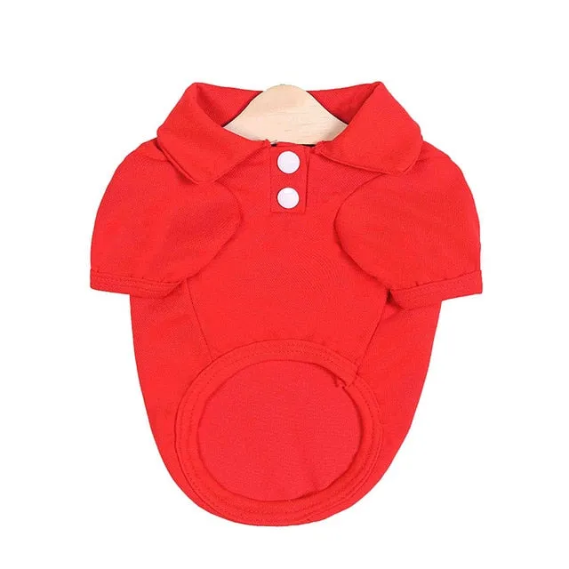 Comfy Plain Button Collared Spring Small Dog Shirt