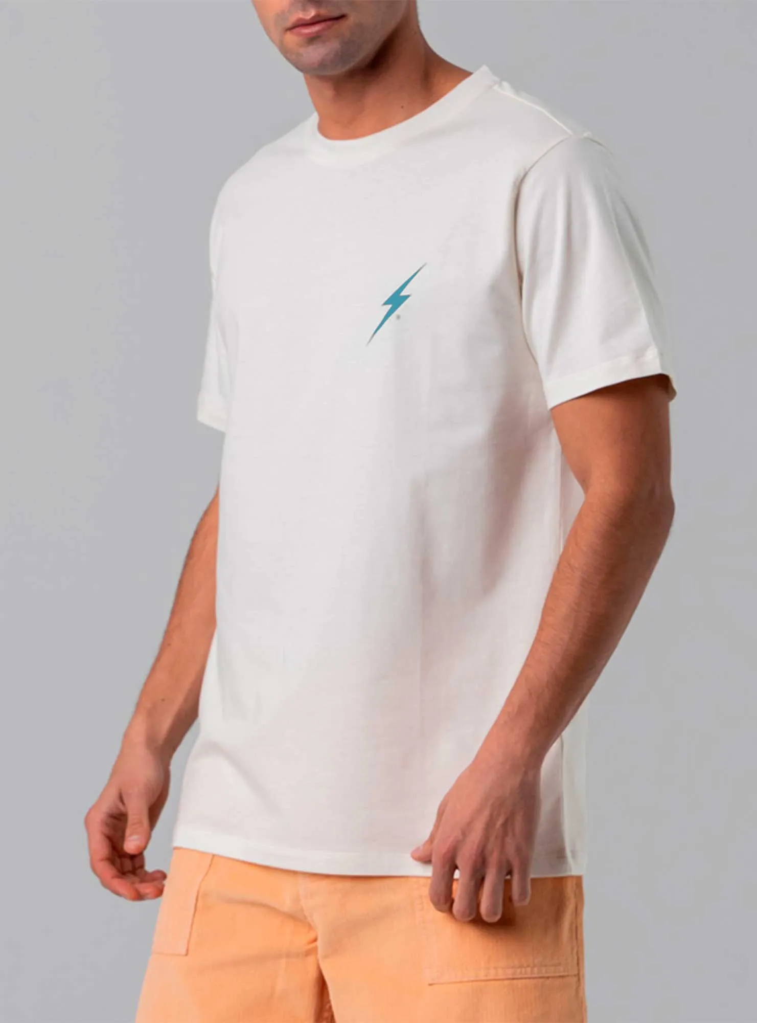 DESTRÓI AS ONDAS NÃO AS PRAIAS T-SHIRT