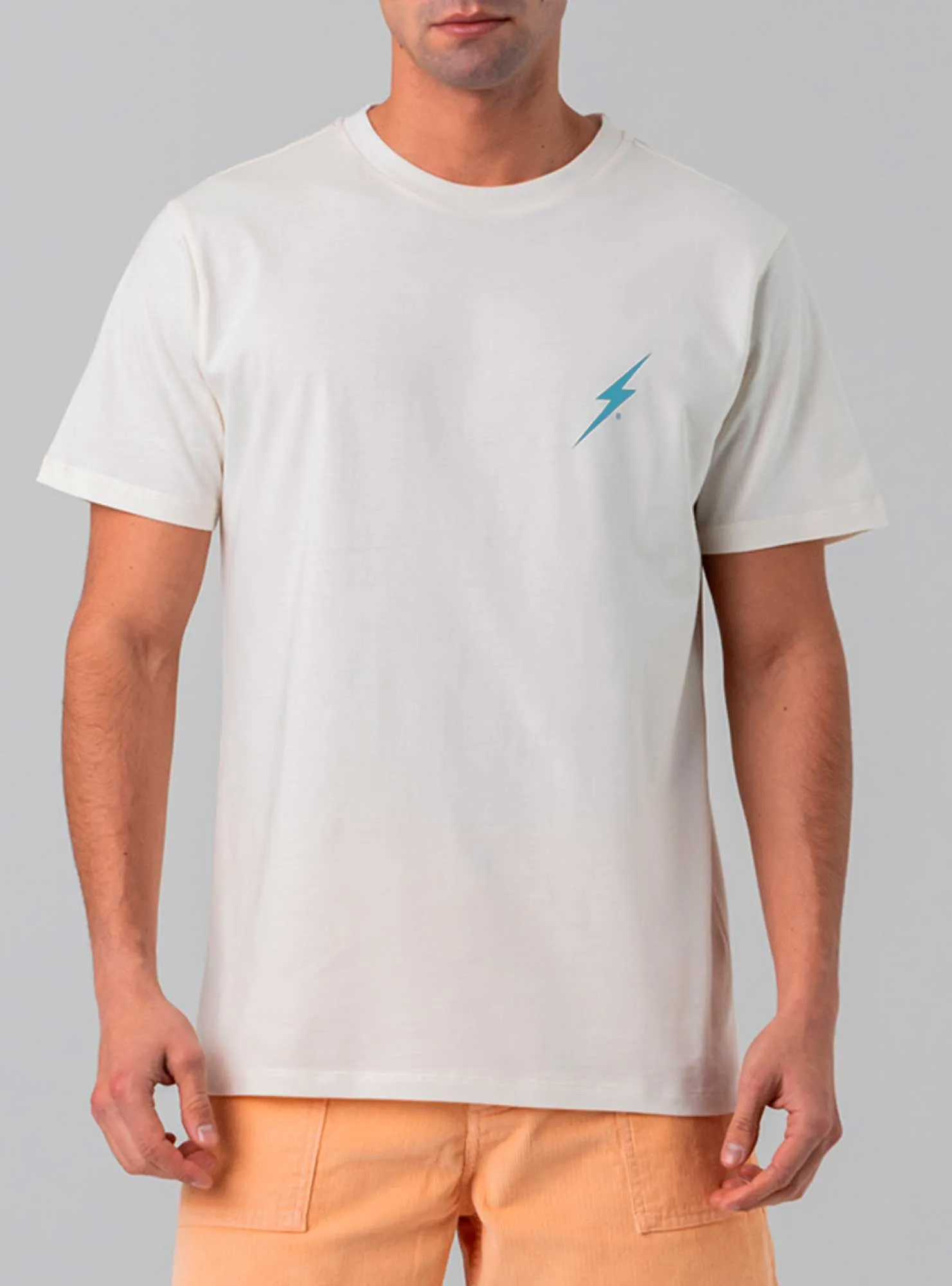 DESTRÓI AS ONDAS NÃO AS PRAIAS T-SHIRT