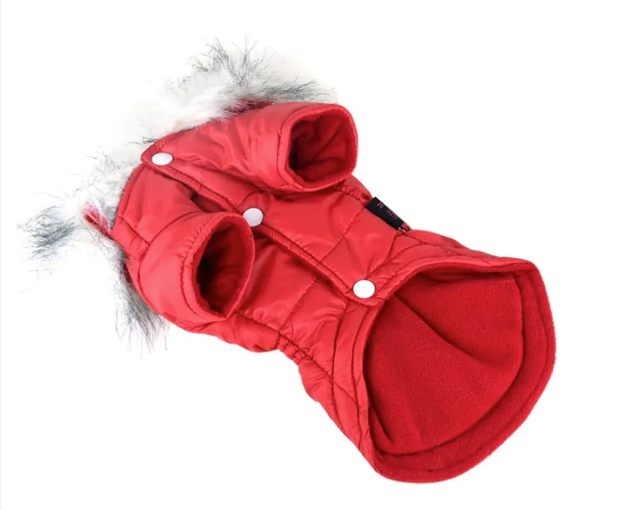 Fashionista Cinched Parka